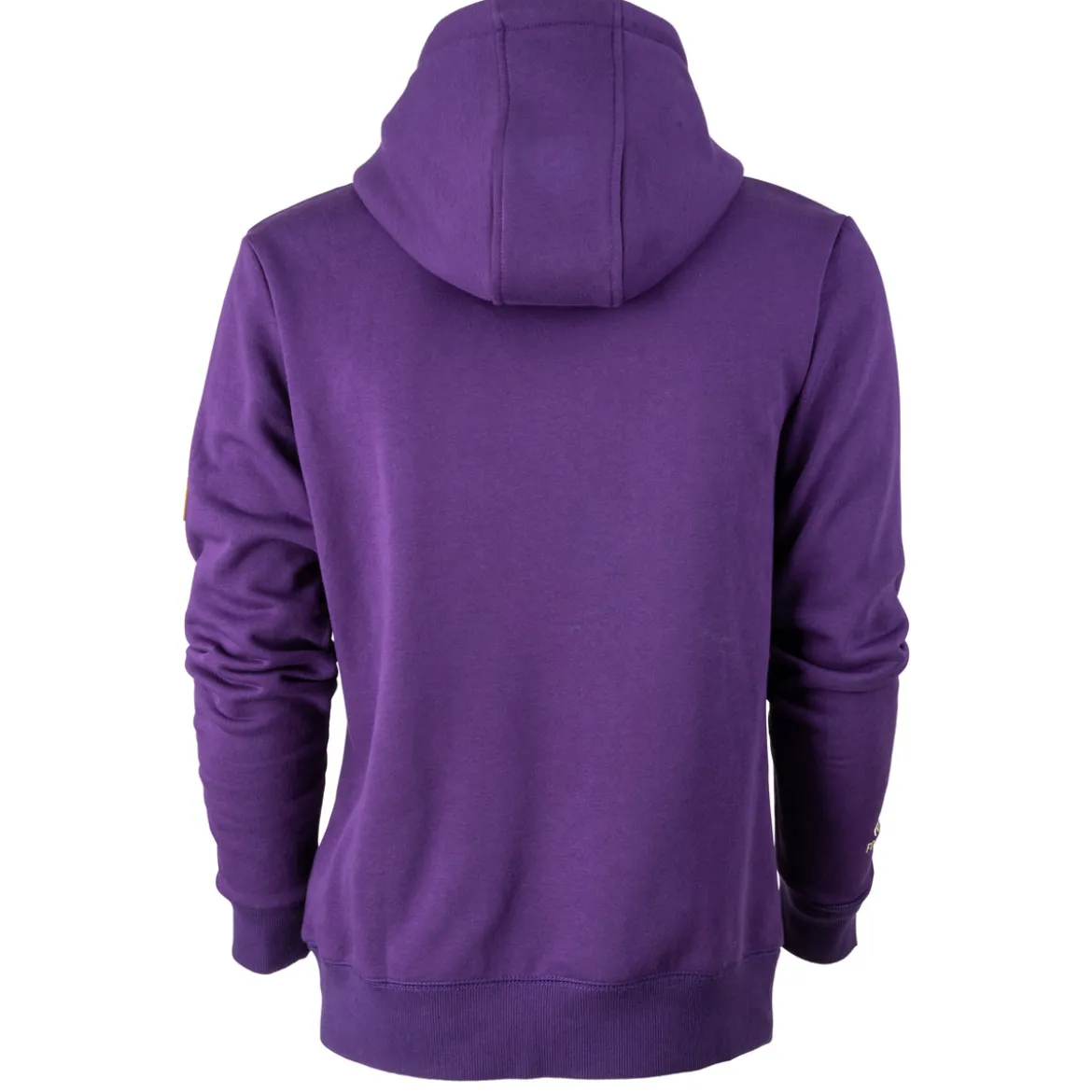 FORSBERG Hoodie mit gestreiftem Brustlogo